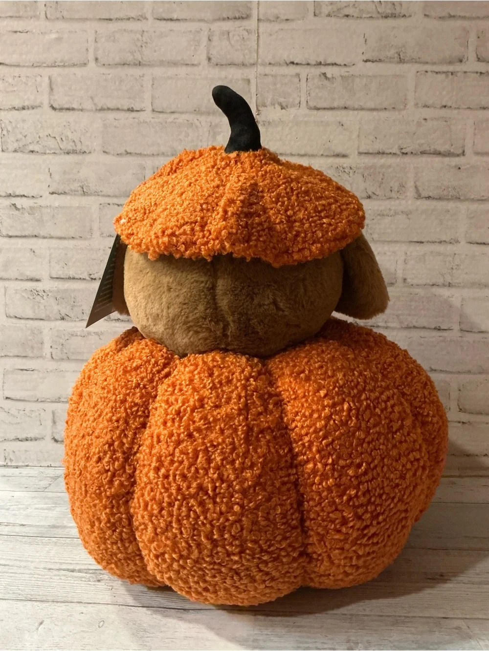 HUMANE SOCIETY 21x18 peek a boo halloween dog pillow